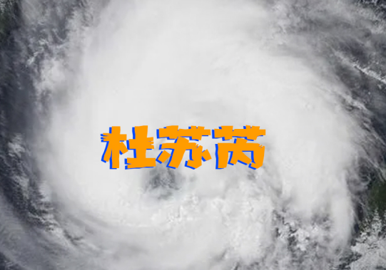 臺風(fēng)暴雨雙預(yù)警丨原來這樣的窗戶才更安全